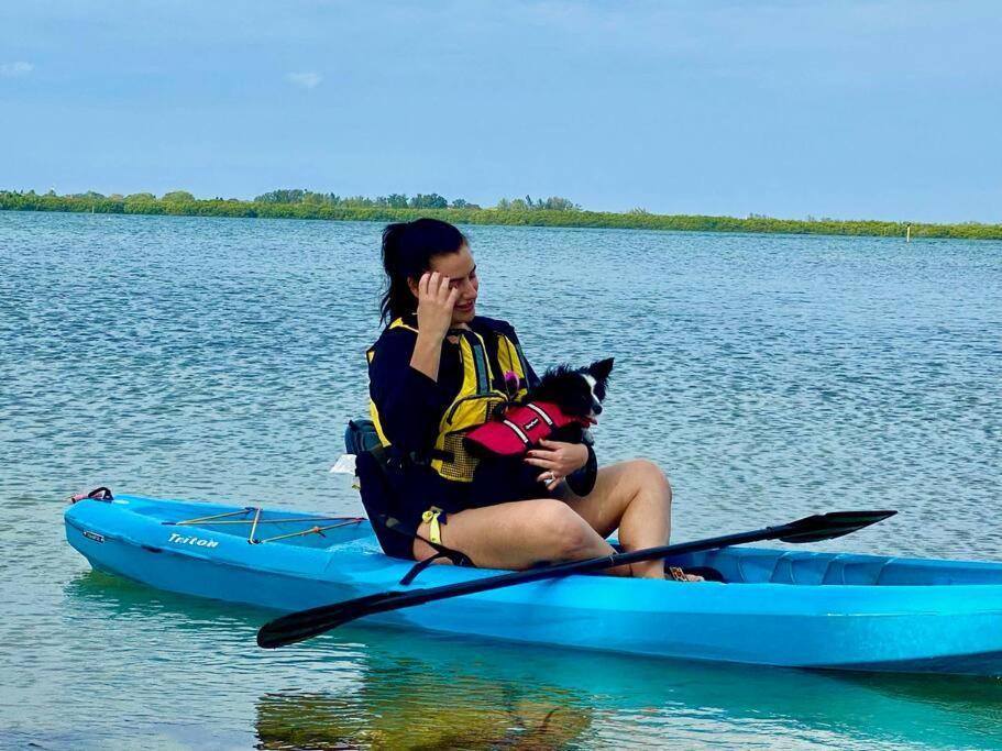 New Dog Paradise - Near The Beach Img & Downtown Bradenton Eksteriør bilde